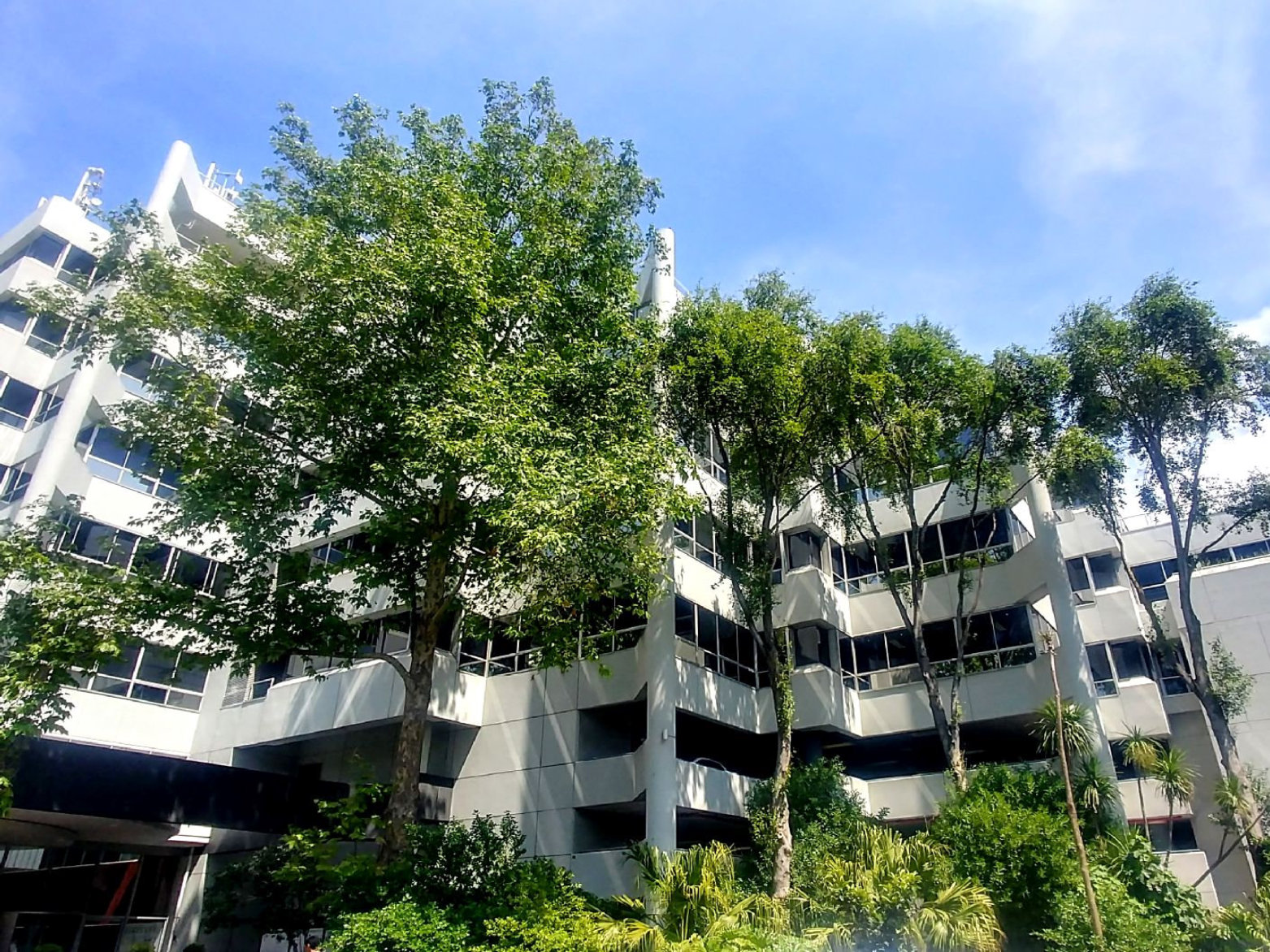375 m² Office Space to Rent Claremont I Sunclare
