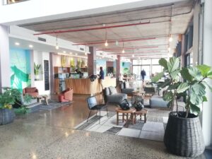 157 m² Office to Rent Woodstock Brickfield Canvas