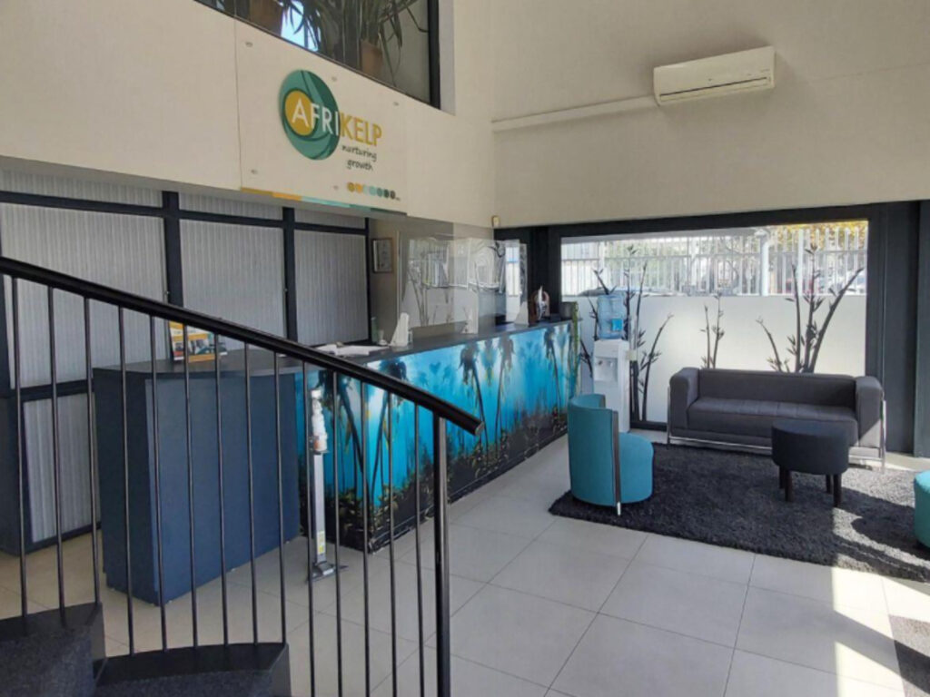 Warehouse to Rent Montague Gardens