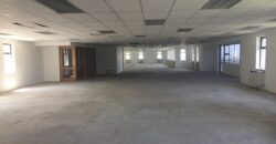 1,017 m² Office to Rent Plattekloof I Tygerberg Office Park