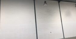 299 m² Warehouse to Rent Stikland