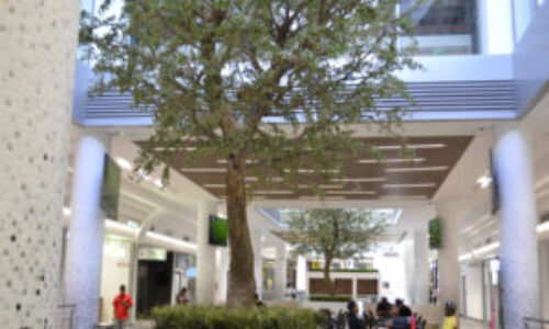 64 m² Retail Space to Rent Claremont I Stadium on Main