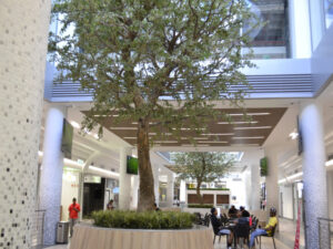 64 m² Retail Space to Rent Claremont I Stadium on Main