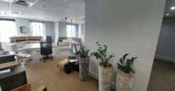 185 m² Office Space to Rent Newlands I The Oval
