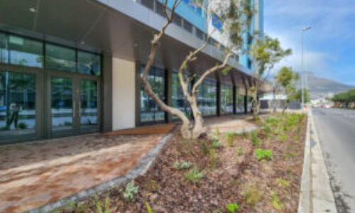 2,744 m² Showroom to Rent Cape Town CBD I Harbour Arch