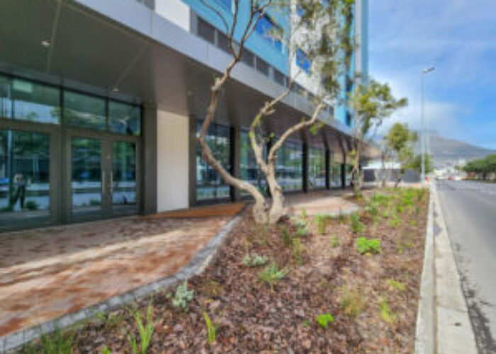 2,744 m² Showroom to Rent Cape Town CBD I Harbour Arch