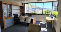 927 m² Office to Rent Cape Town City Center
