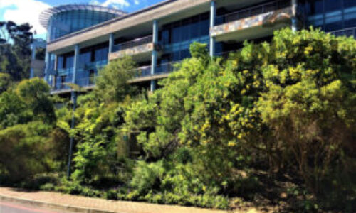 397 m² Office to Rent Plattekloof I Tygerberg Office Park