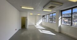 81 m² Office to Rent Cape Town City I 125 Buitengracht Street