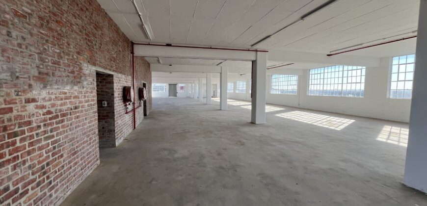 318 m² Retail Space to Rent Diep River I Landmark 91