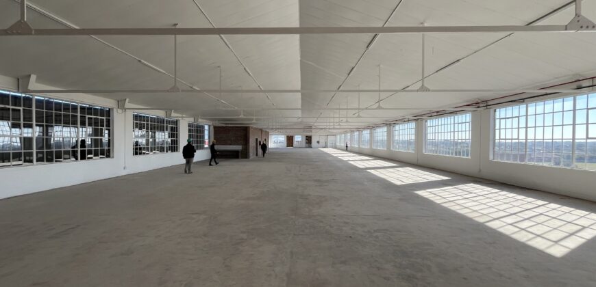 318 m² Retail Space to Rent Diep River I Landmark 91