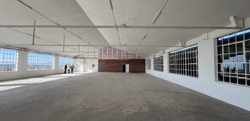 318 m² Retail Space to Rent Diep River I Landmark 91