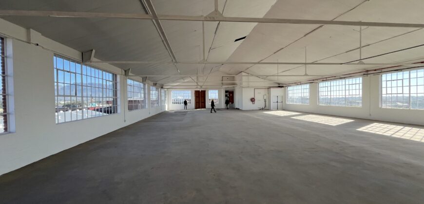 318 m² Retail Space to Rent Diep River I Landmark 91