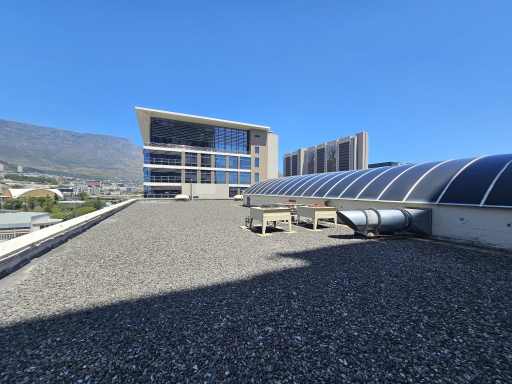 10 Christiaan Barnard Street
