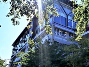 1,344 m² Office to Rent Claremont