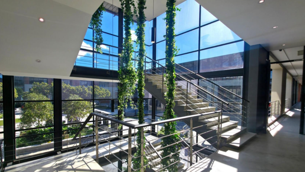 Offices to rent at Black River Park Cape Town