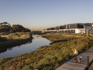 1,624 m² Office to Rent Riverlands