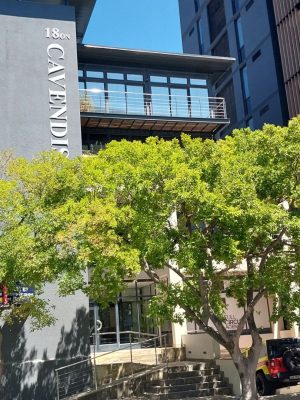 Office Space to Rent in Claremont CBD