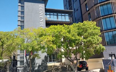 Office Space to Rent in Claremont CBD