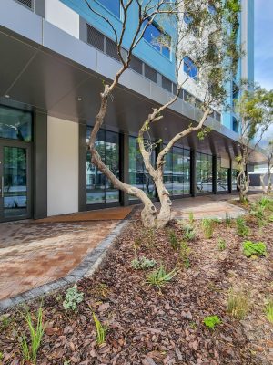 Office to Rent Foreshore