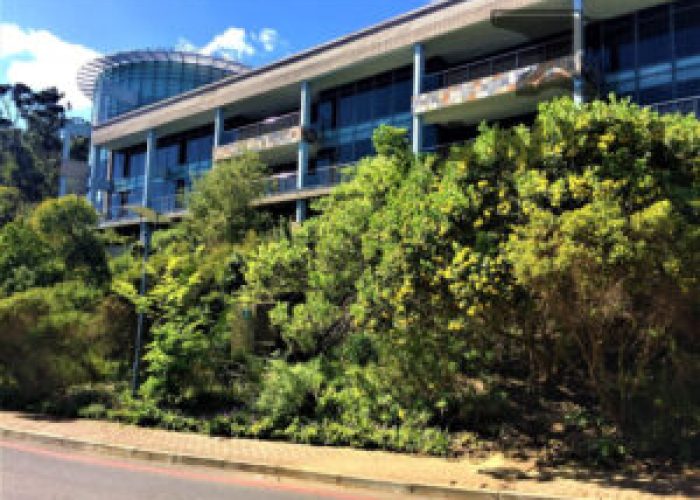 Office Space Plattekloof