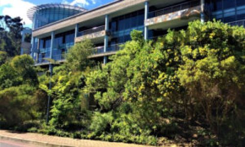 Tygerberg Office Park, Plattekloof